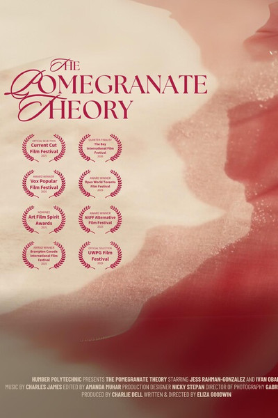 Póster de The Pomegranate Theory