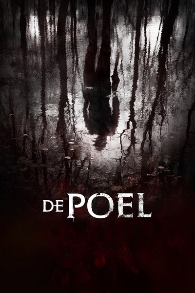 Póster de The Pool