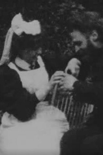 Póster de The Postman and the Nursemaid