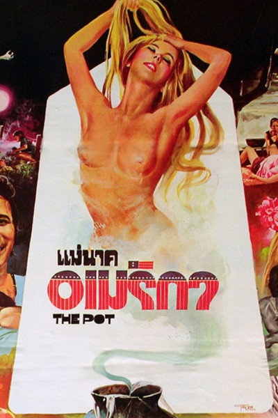 Póster de The Pot