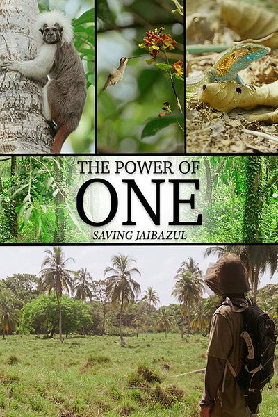 Póster de The Power of One
