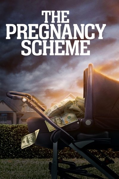 Póster de The Pregnancy Scheme
