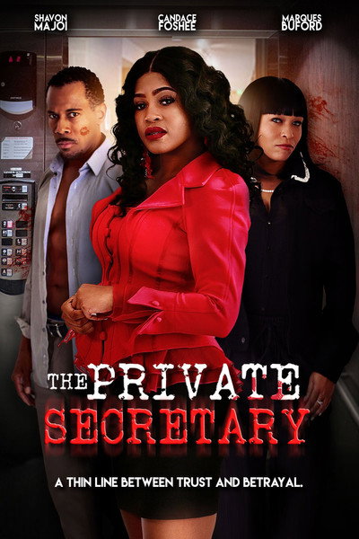 Póster de The Private Secretary