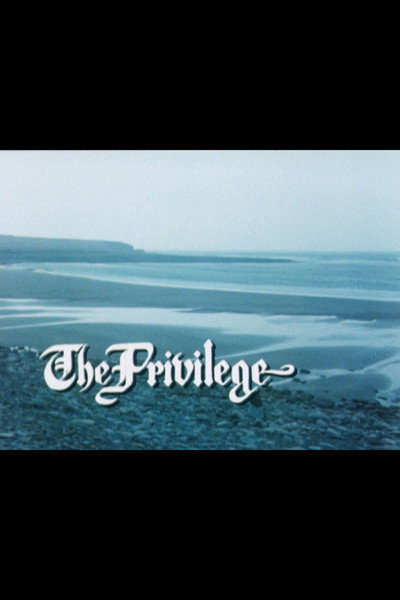 Póster de The Privilege