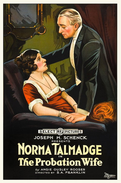 Póster de The Probation Wife