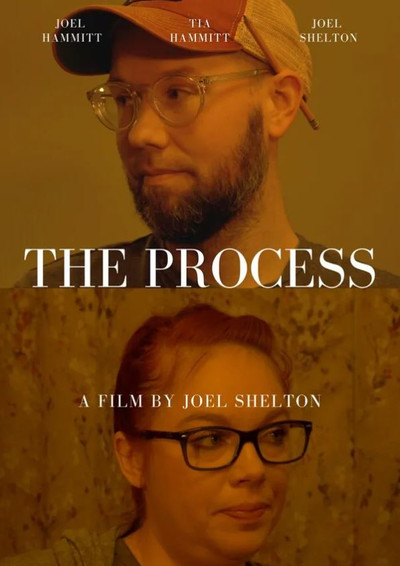 Póster de The Process