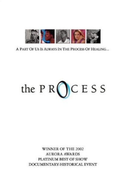 Póster de The Process