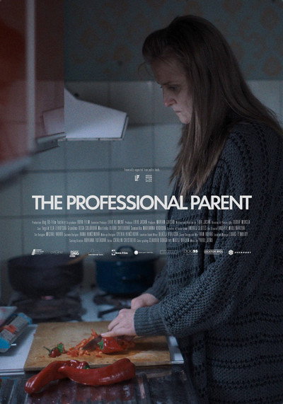 Póster de The Professional Parent