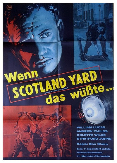 Póster de The Professionals