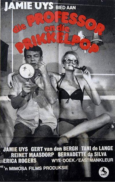 Póster de The Professor and the Beauty Queen