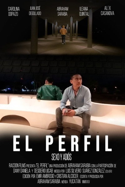 Póster de The Profile