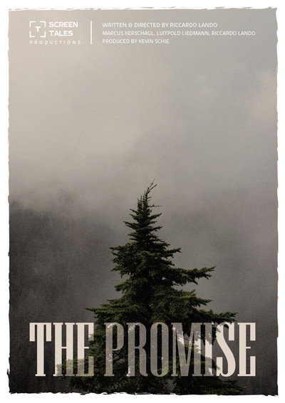 Póster de The Promise