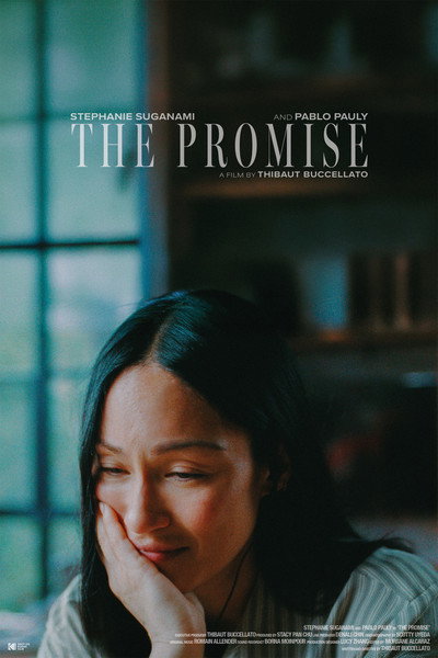 Póster de The Promise