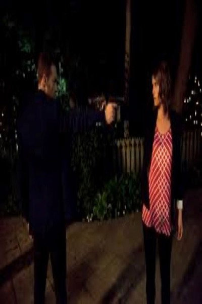 Póster de The Proposal