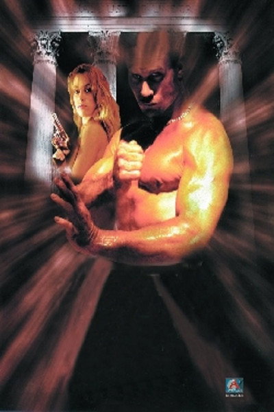 Póster de The Prosecutor