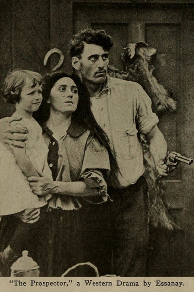 Póster de The Prospector