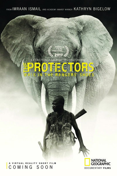 Póster de The Protectors