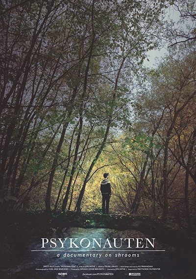 Póster de The Psychonaut