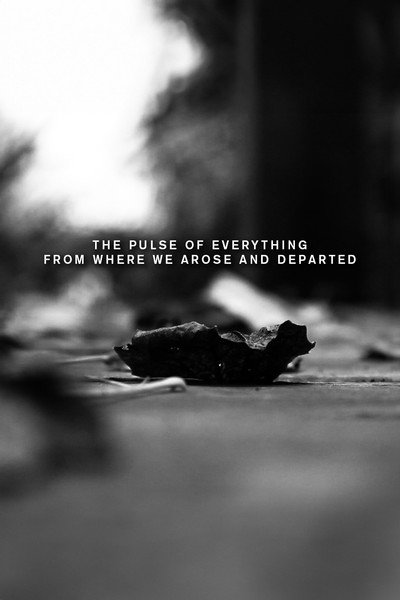 Póster de The Pulse of Everything from Where We Arose and Departed