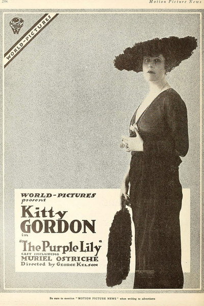 Póster de The Purple Lily