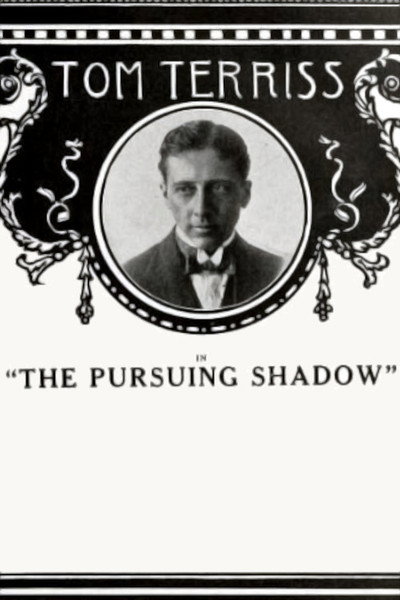 Póster de The Pursuing Shadow