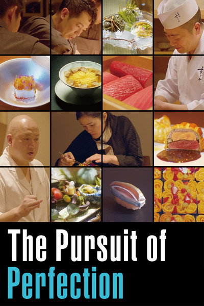 Póster de The Pursuit of Perfection
