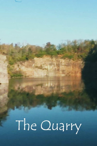Póster de The Quarry: 2011
