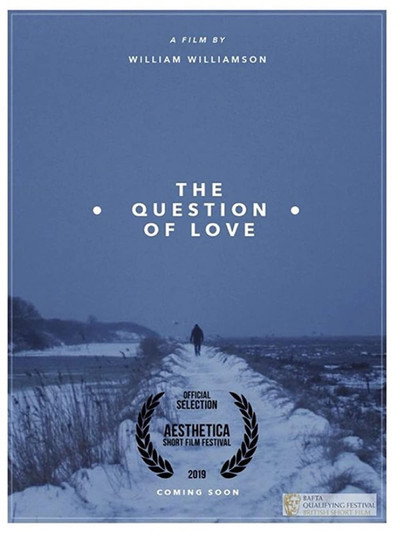 Póster de The Question of Love