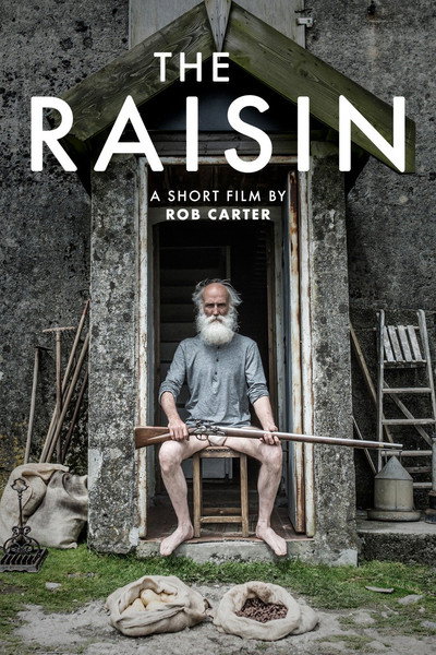 Póster de The Raisin