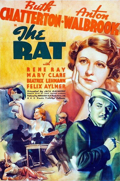 Póster de The Rat