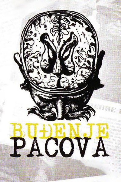 Póster de The Rats Woke Up