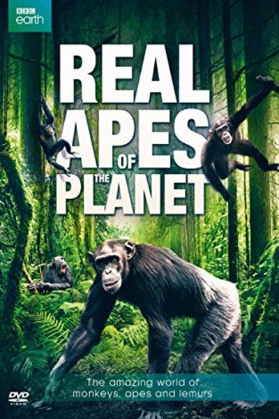 Póster de The Real Apes of the Planet