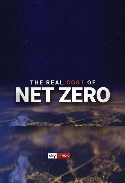Póster de The Real Cost of Net Zero