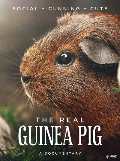 Póster de The Real Guinea Pig