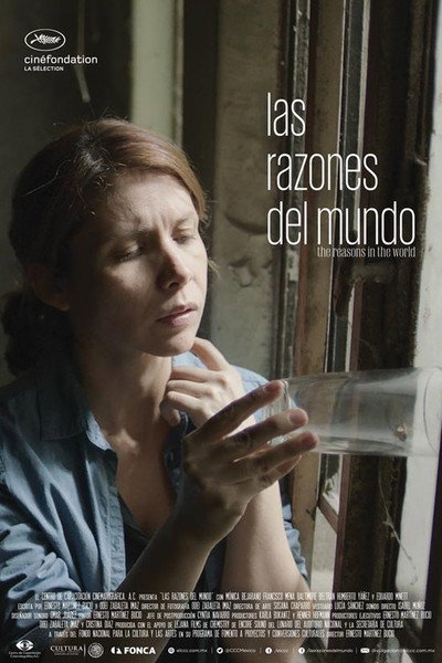 Póster de The Reasons in the World