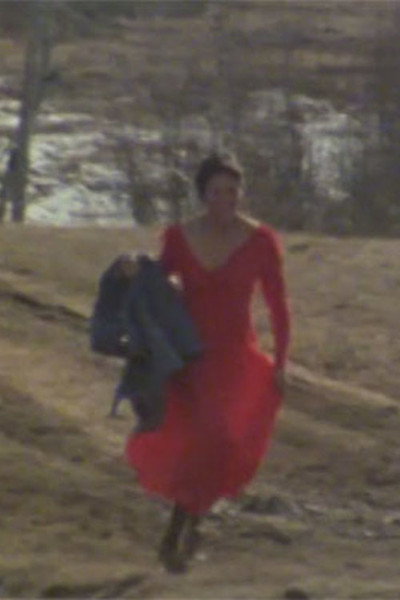 Póster de The Red Dress