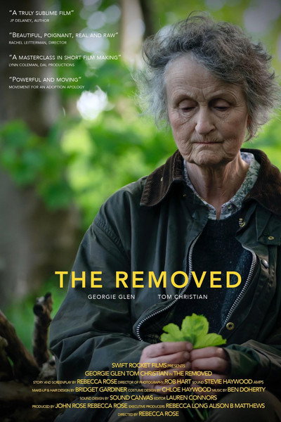 Póster de The Removed