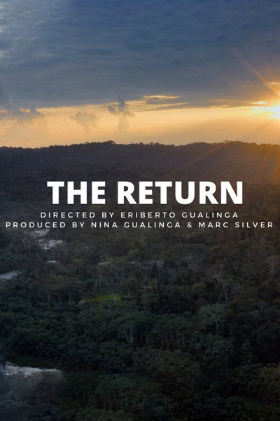 Póster de The Return