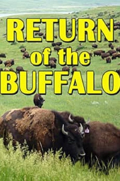 Póster de The Return of the Buffalo: Restoring the Great American Prairie