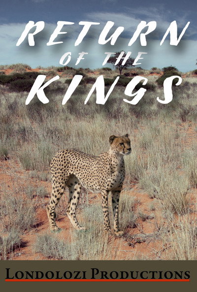 Póster de The Return of the Kings