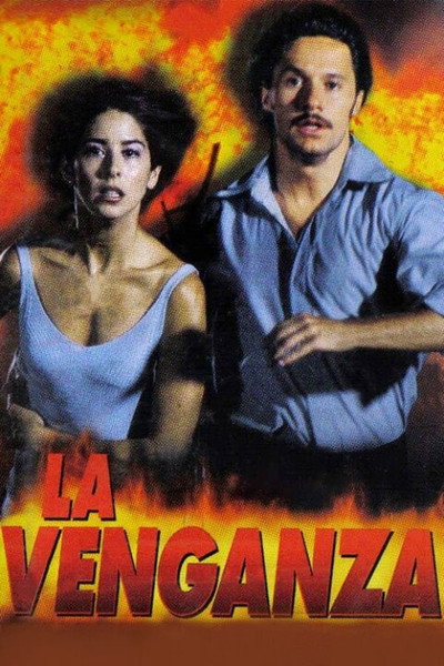 Póster de The Revenge