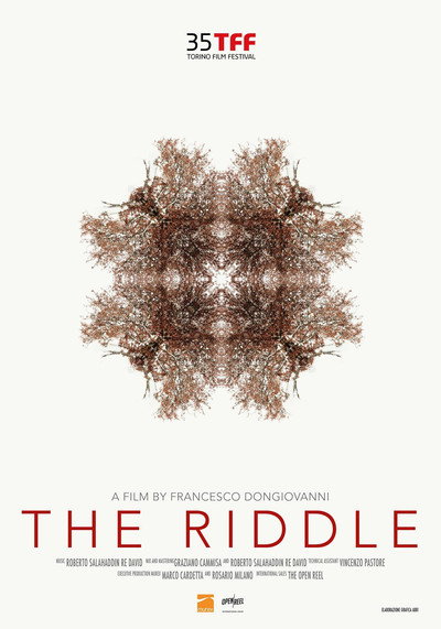 Póster de The Riddle