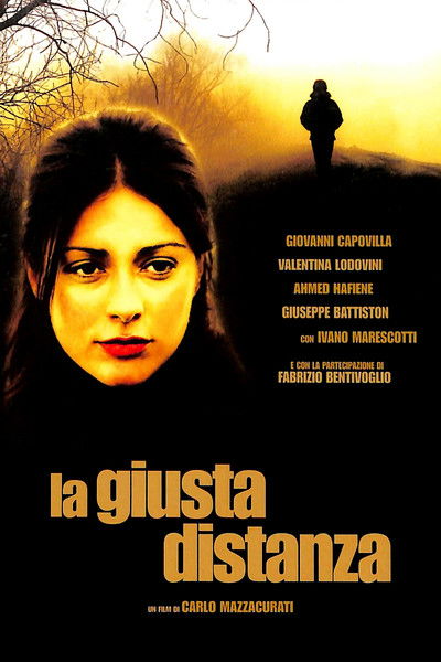 Póster de The Right Distance