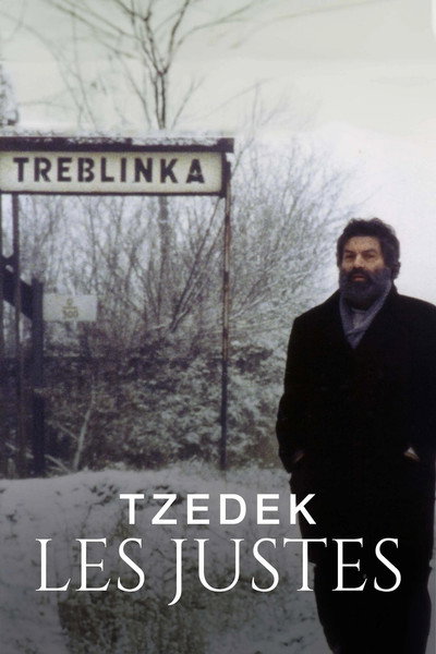 Póster de The Righteous (1994)