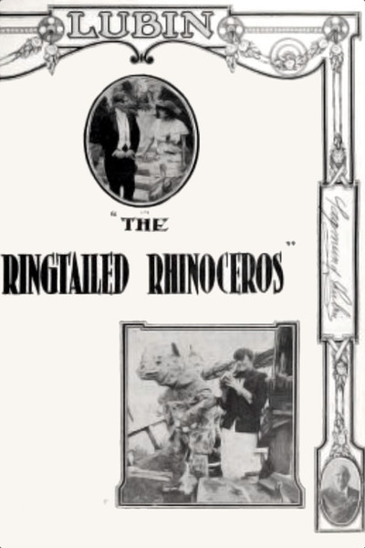 Póster de The Ringtailed Rhinoceros
