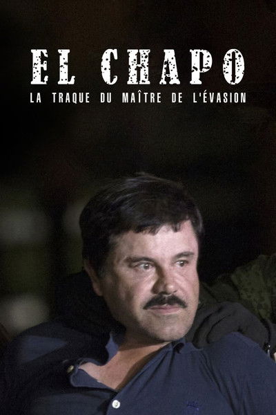 Póster de The Rise and Fall of El Chapo