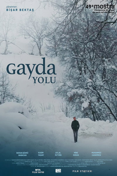 Póster de The Road to Gayda