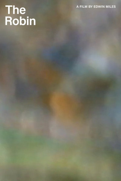 Póster de The Robin