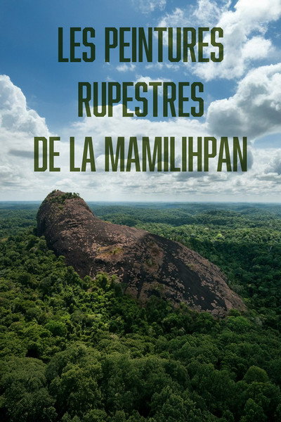Póster de The Rock Paintings of the Mamilihpan