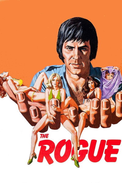 Póster de The Rogue